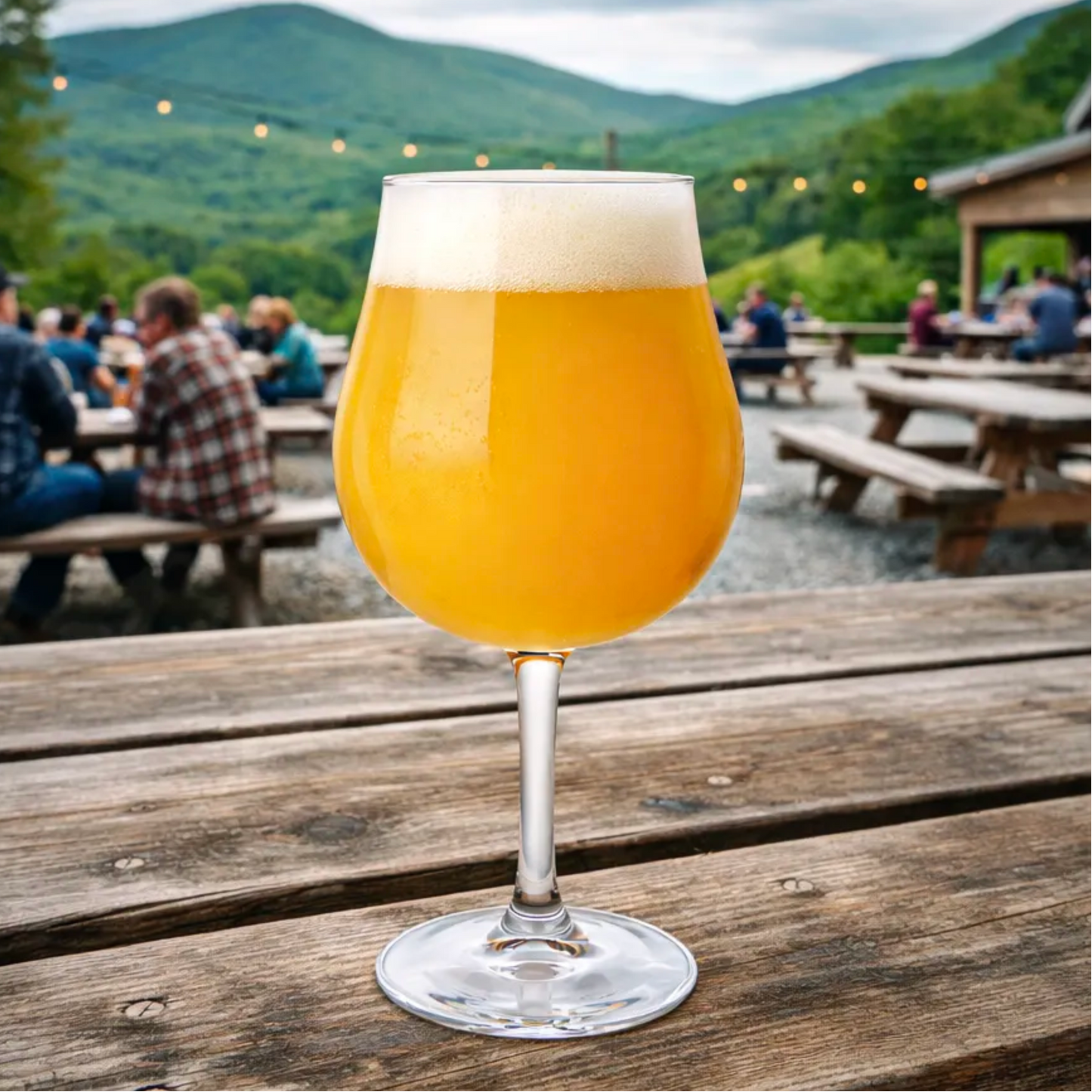 The Grand Charente 17 oz Stemmed Beer Glass - USA Made Non-Nucleated, No Imprint Cup - Beer Glasses for Craft Beer, IPA, Stout - Ideal Barware Gifts for Men and Man Cave